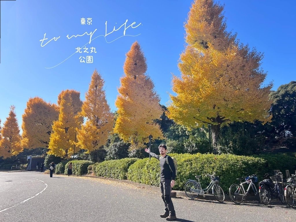 東京住宿一晚不用2000? 聖誕東京賞楓賞銀杏~千代田區~小