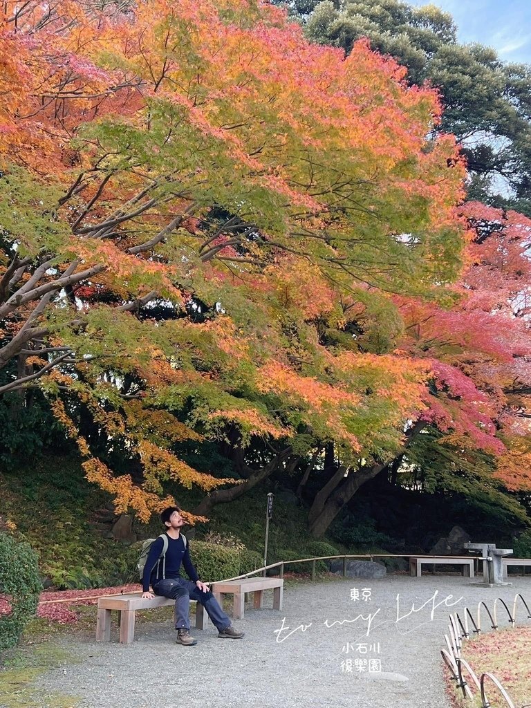 東京住宿一晚不用2000? 聖誕東京賞楓賞銀杏~千代田區~小