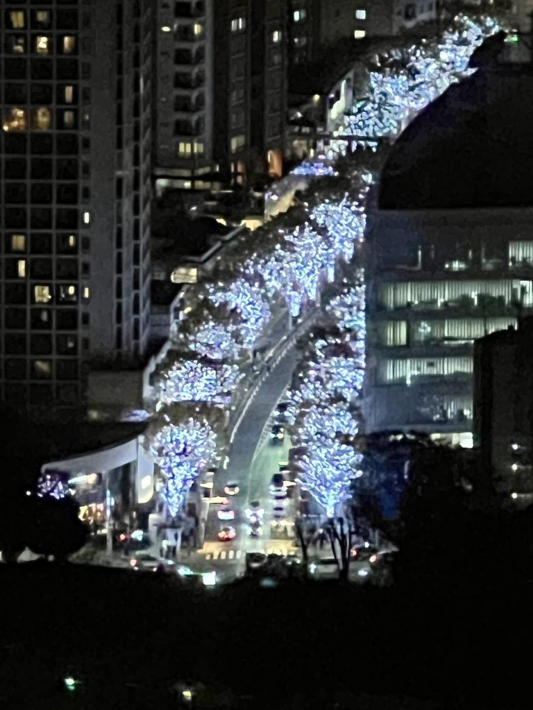 東京行最一言難盡的景點~麻布台之丘觀景台~聖誕東京賞楓賞