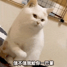 3.gif