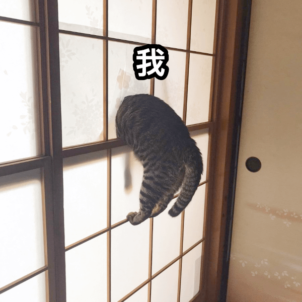 7.png