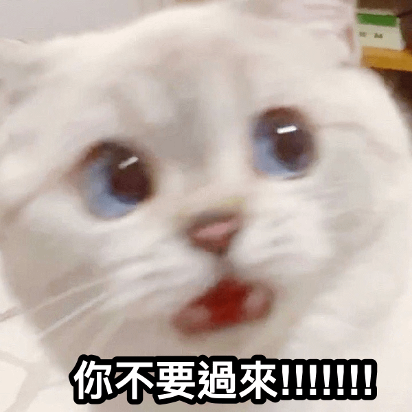 8.png