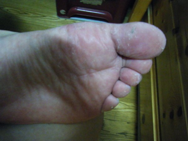 DSCF3771.JPG