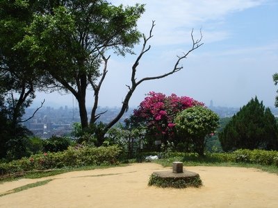 DSC09412-q15.jpg