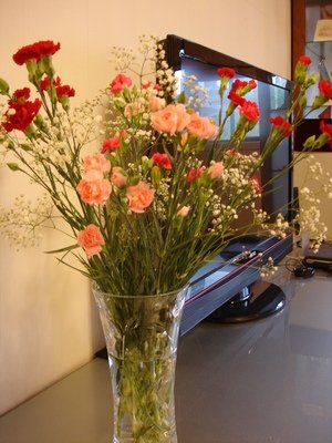 DSC08586-q1.jpg