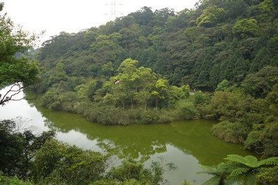 DSC06855-y2.jpg