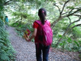 DSC06786-k1.jpg