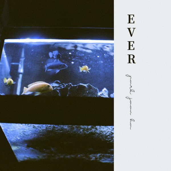 박준하-Single．EVER.jfif