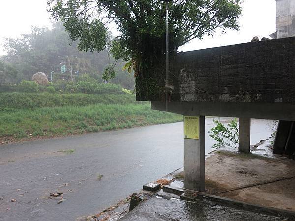 1020831雙溪雨中行07.jpg