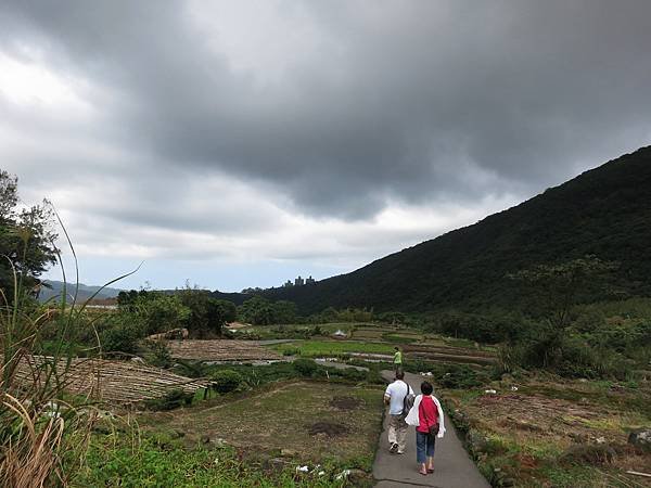 1021019八煙田園05.jpg