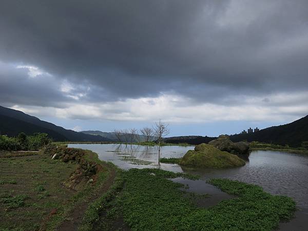 1021019八煙田園14.jpg