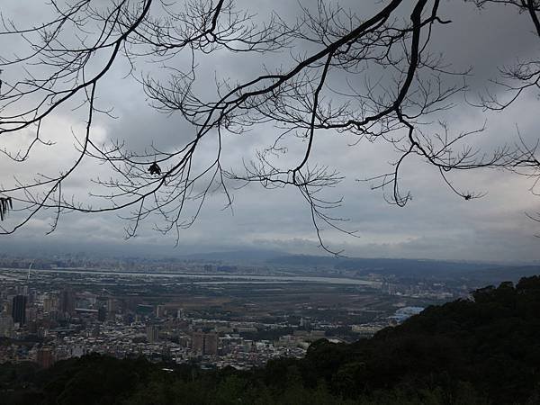 1030208上清宫步道5.jpg