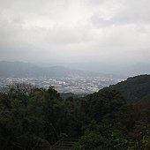 1030112樹林德和街5.jpg