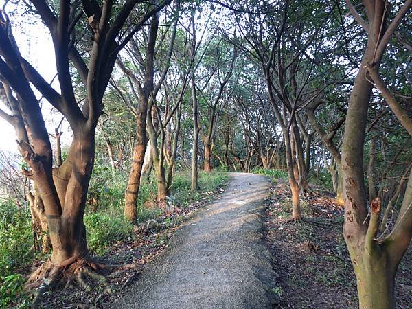 1030222樹林多福步道09.jpg