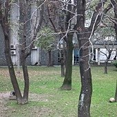 1020218輔大校園07.jpg