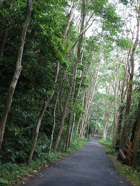 1030420鳶尾山步道04.jpg