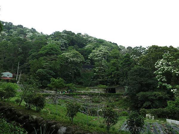 1030420鳶尾山步道05.jpg