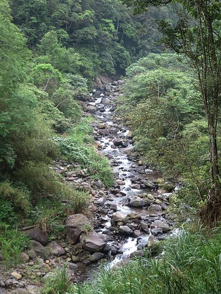 1030427_熊空越嶺古道11.jpg