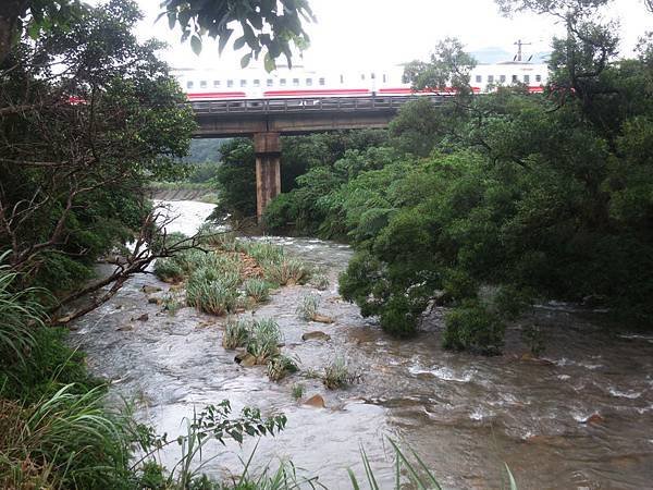 1030531福隆雨中行23.jpg