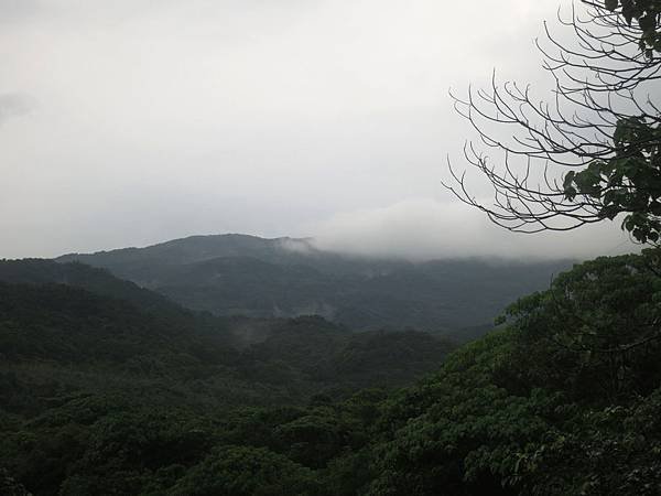 1030531福隆雨中行22.jpg