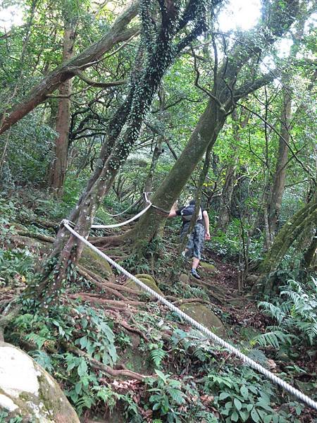 1031026大屯西峰下大屯坪01.jpg