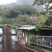 IMG_4557.jpg