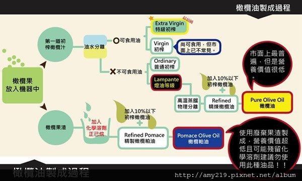 橄欖油製造過程