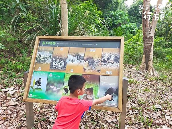 113- 05-18中正公園_公老坪夢想廚房_240520_27.jpg