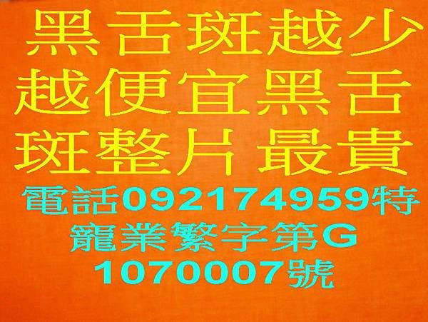 黑舌斑整片最貴.jpg