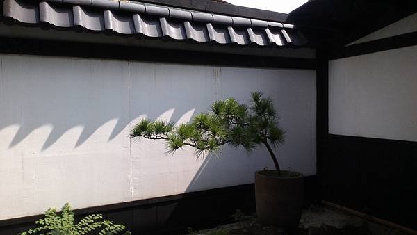 IMG_20140905_092918.jpg