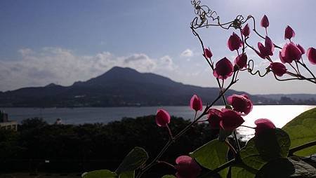 IMG_20141206_143020.jpg