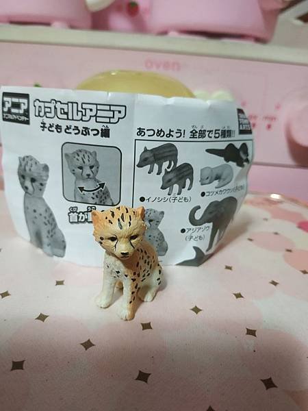 中華壽司郎 Takara Tomy 獵豹扭蛋.jpg