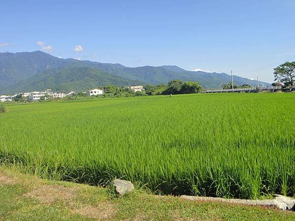 DSC02678.JPG