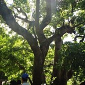 DSC02683.JPG