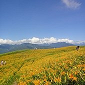 DSC02711.JPG