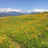 DSC02719.JPG