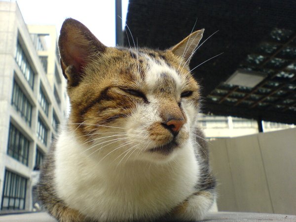 又來了~~.JPG