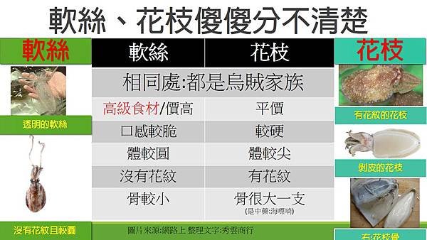 教你分辨軟絲、花枝 相同處:都是烏賊家族