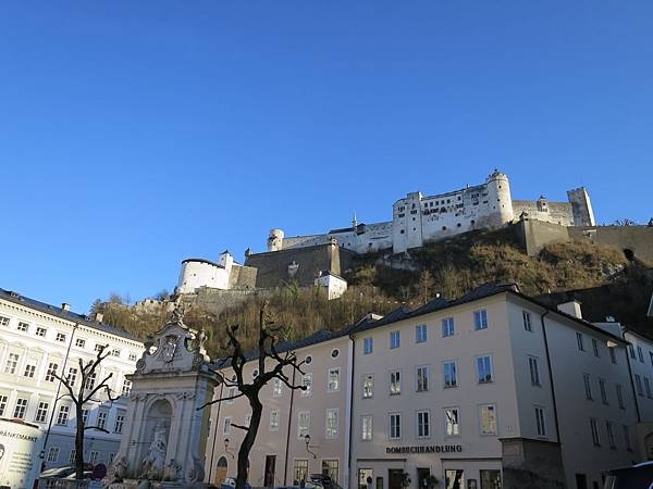 IMG_6487.JPG
