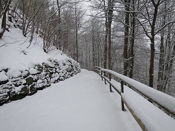 IMG_6701.JPG