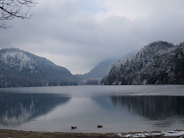 IMG_6762.JPG