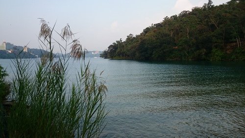 08.jpg