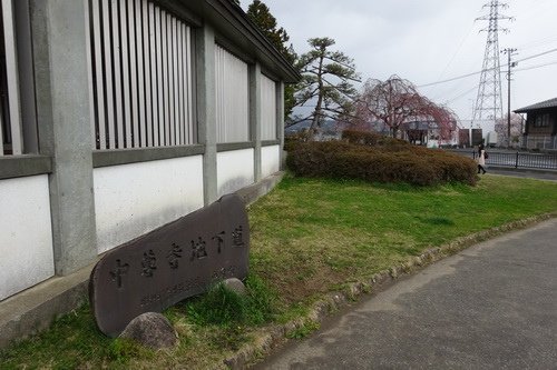 139.jpg