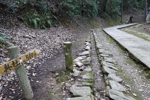 255.jpg