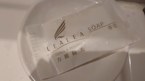 南投縣魚池鄉~力麗哲園飯店日潭館LEALEA HOTEL S