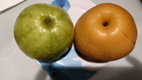 南投縣魚池鄉~日月潭力麗溫德姆溫泉酒店WYNDHAM Sun