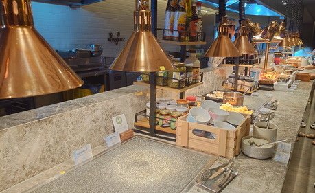 南投縣魚池鄉~日月潭力麗溫德姆溫泉酒店WYNDHAM Sun