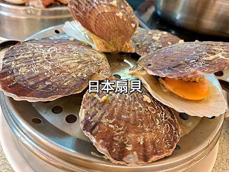 [ 二月牌沙茶爐 朋月栻 新莊店 ]  🦀汕頭火鍋/超浮誇海