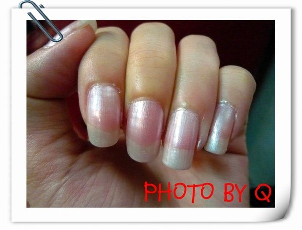 20090311 step1.JPG