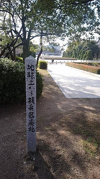 SelfieCity_20180110115128_save.jpg